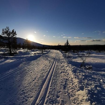 Yllaes Kanerva 105 Äkäslompolo Buitenkant foto