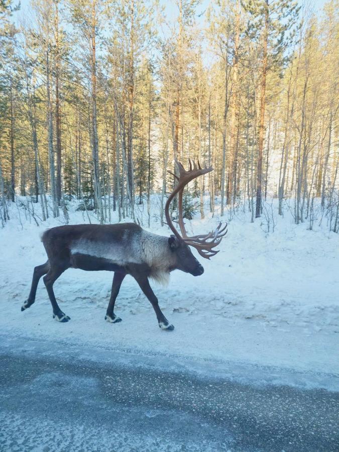 Yllaes Kanerva 105 Äkäslompolo Buitenkant foto